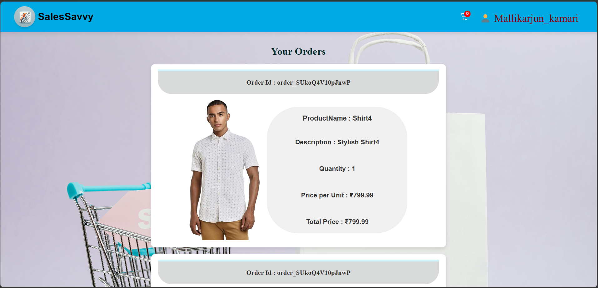 Sales Savvy Login Page